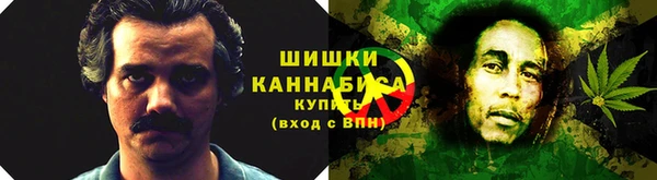 спайс Алексин