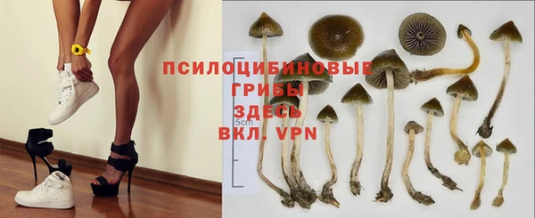 МДПВ Алексеевка