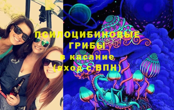 спайс Алексин