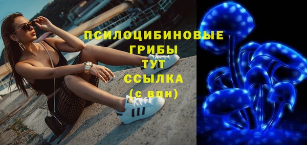 МДПВ Алексеевка
