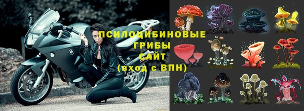 прущие крисы Алзамай