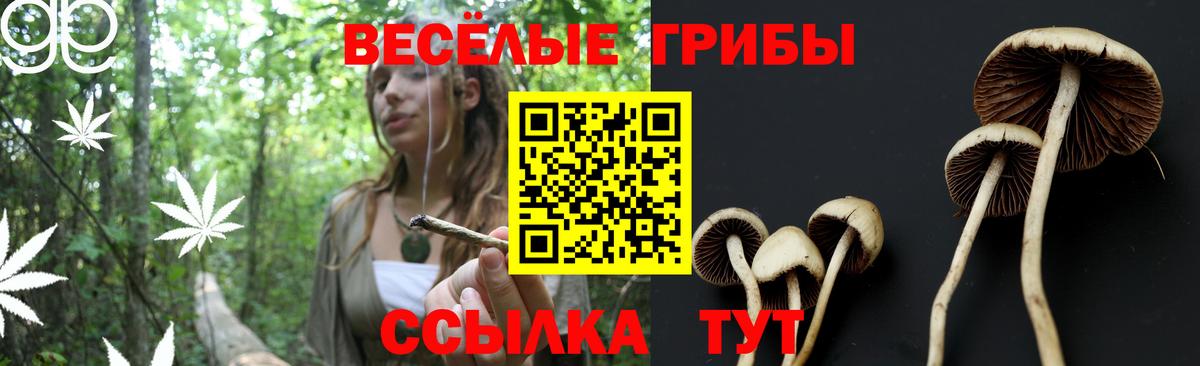 Псилоцибиновые грибы ЛСД  Вход с VPN  даркнет сайт  Псилоцибиновые грибы прущие грибы  Череповец 